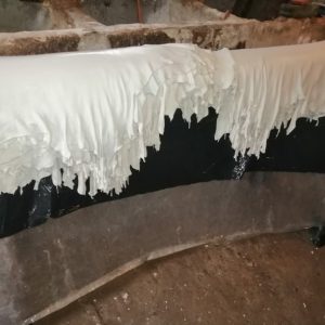 Υγρά δέρματα περγαμηνής μετά από την κατεργασία